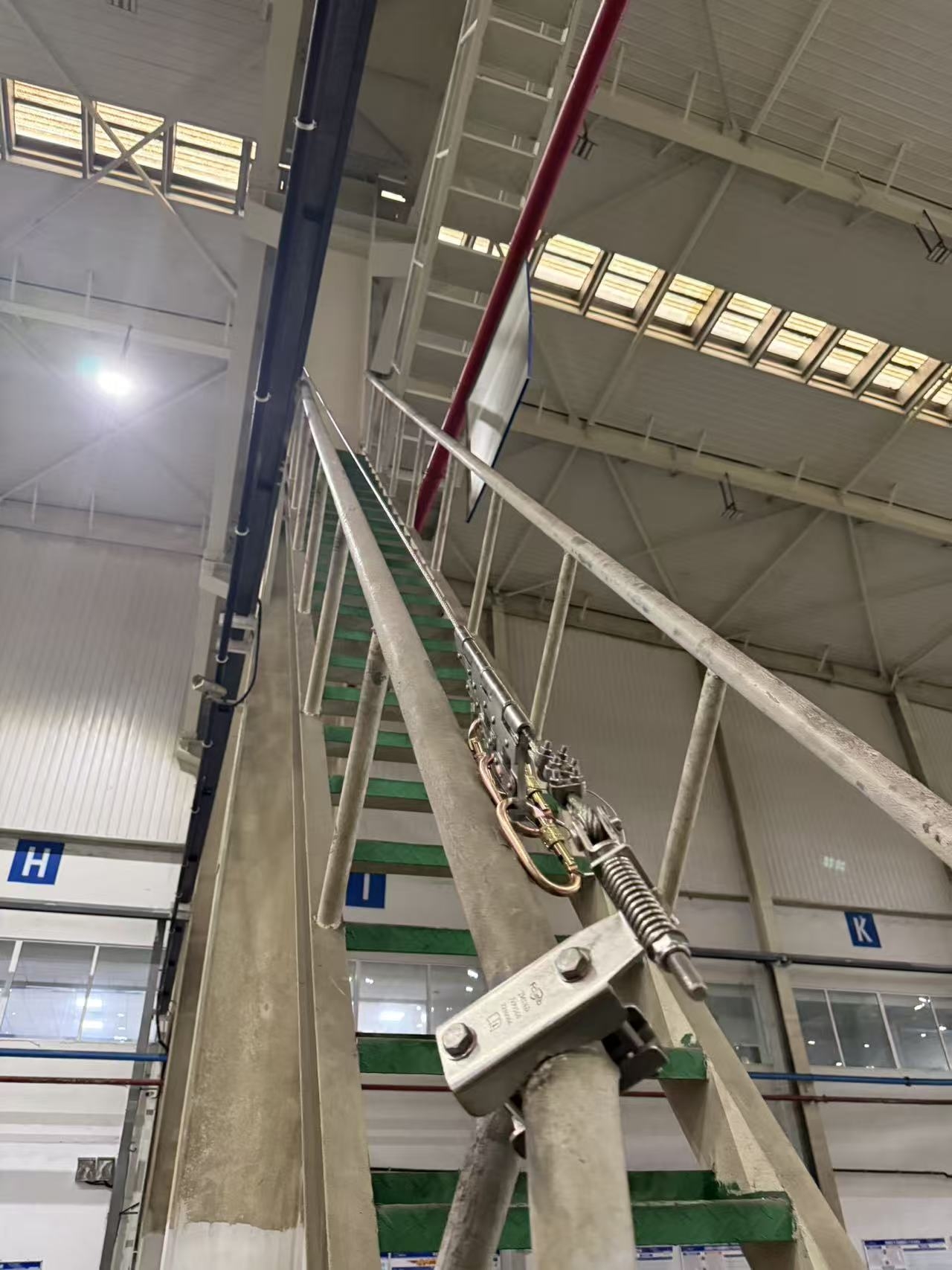 1769561136382731.jpg 01191521_03.jpg